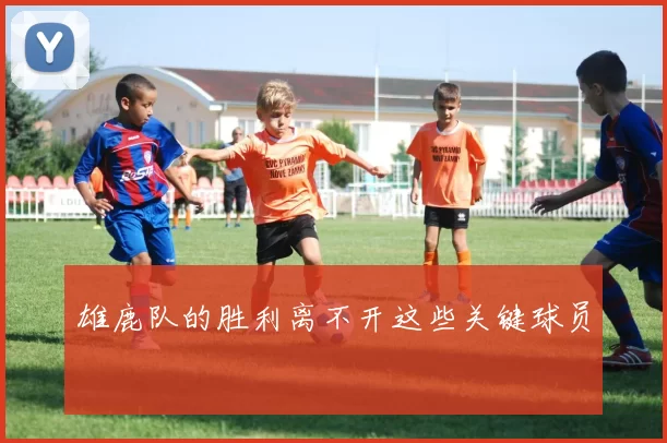 雄鹿队的胜利离不开这些关键球员