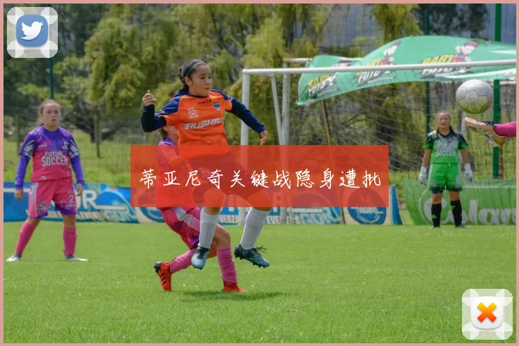 蒂亚尼奇关键战隐身遭批