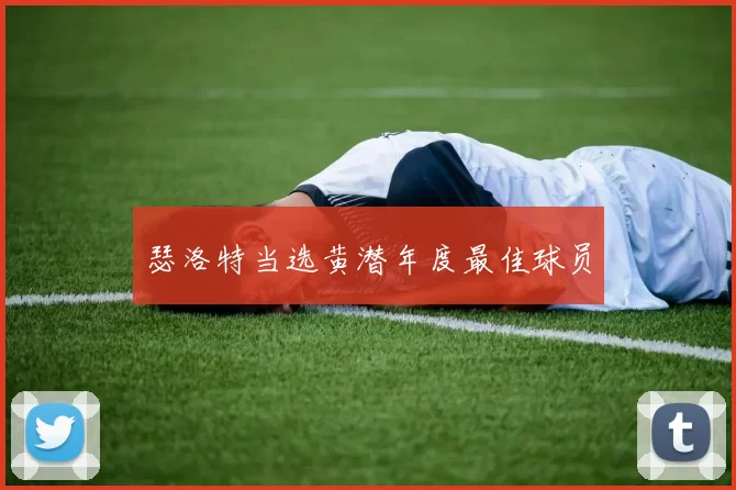 瑟洛特当选黄潜年度最佳球员